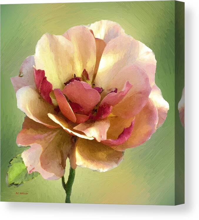 Rose Canvas Print featuring the painting Seductive by RC DeWinter