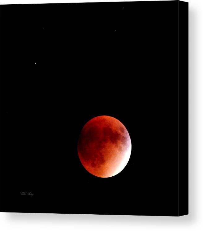 Bloodmoon Canvas Print featuring the photograph September Bloodmoon 2015 by Wild Thing