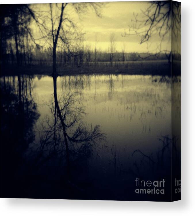 Landscape Canvas Print featuring the photograph Series Wood and Water 5 by RicharD Murphy