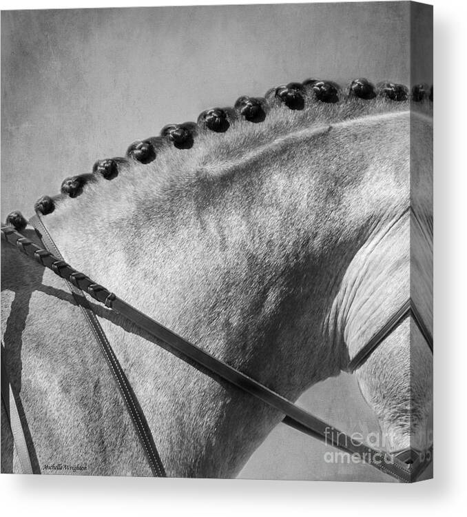 Horse Canvas Print featuring the photograph Shades of Grey Fine Art Horse Photography by Michelle Wrighton