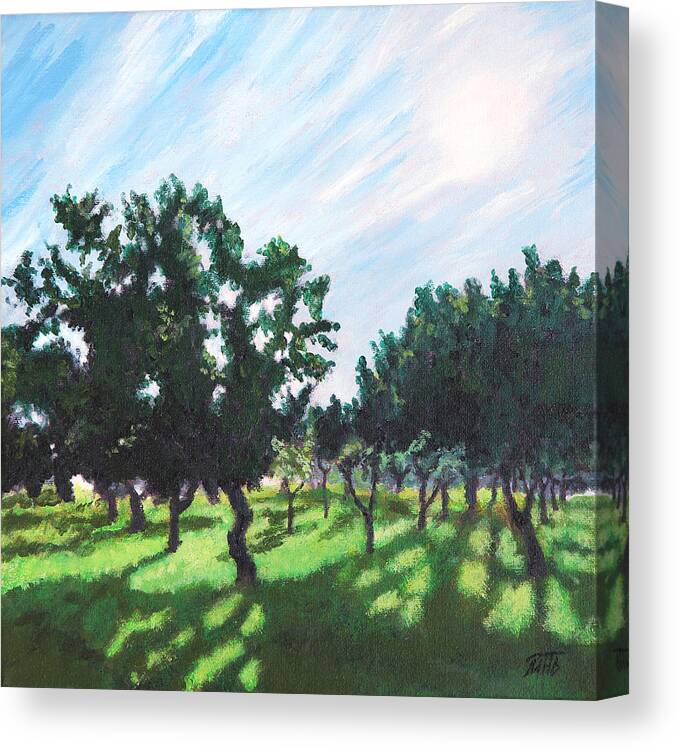 Tree Canvas Print featuring the painting Shadows in the Fruit Garden by Masha Batkova