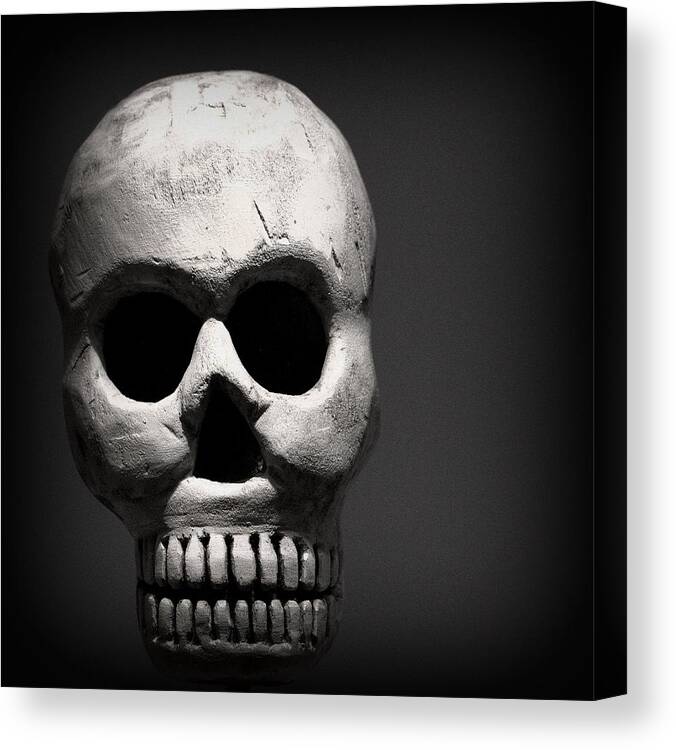 Washington Dc Canvas Print featuring the photograph Skull by Joseph Skompski