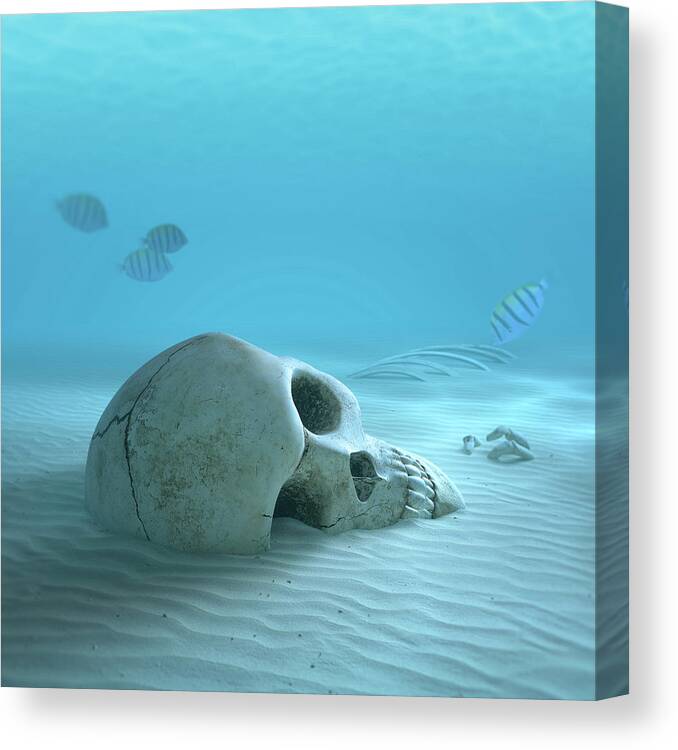 Skull Canvas Print featuring the photograph Skull on sandy ocean bottom by Johan Swanepoel