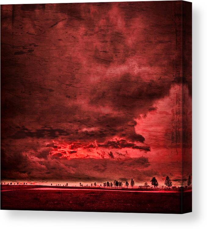 Sky Canvas Print featuring the photograph Sky Is Crying by Philippe Sainte-Laudy