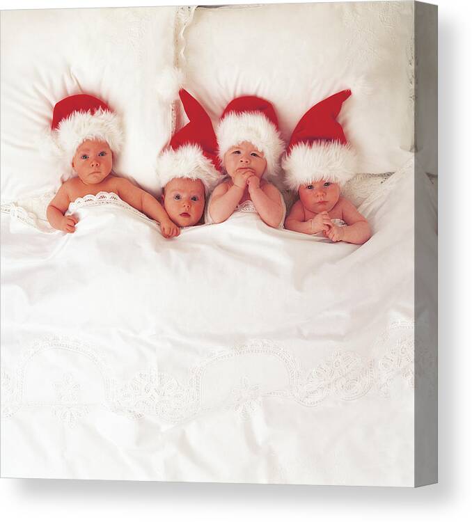 Holiday Canvas Print featuring the photograph Sleepy Santas by Anne Geddes