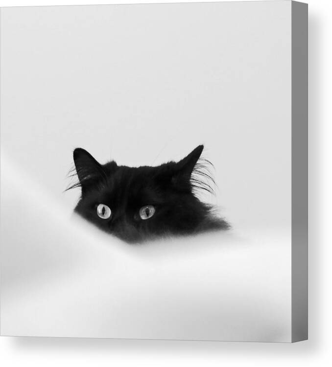 Cat Canvas Print featuring the digital art Sneaky Cat by Kathleen Illes