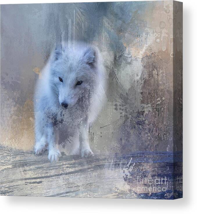 Arctic Fox Canvas Print featuring the photograph Snow Fox by Eva Lechner