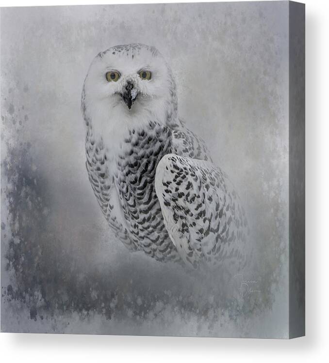 Owl Canvas Print featuring the photograph Snowy Owl Portrait by Teresa Wilson