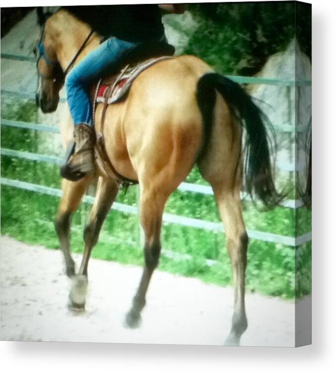 Canter Canvas Print featuring the photograph So Ik This Is Blurry But I Love This by Neli Kvale