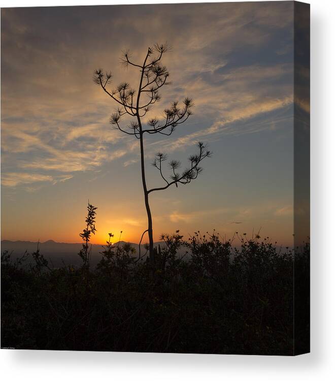 Soledad Canvas Print featuring the photograph Solitude At Solidad by Jeremy McKay