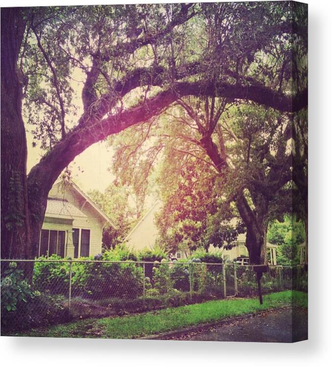 House Canvas Print featuring the photograph Southern Home #house #coastalbeauty by Joan McCool