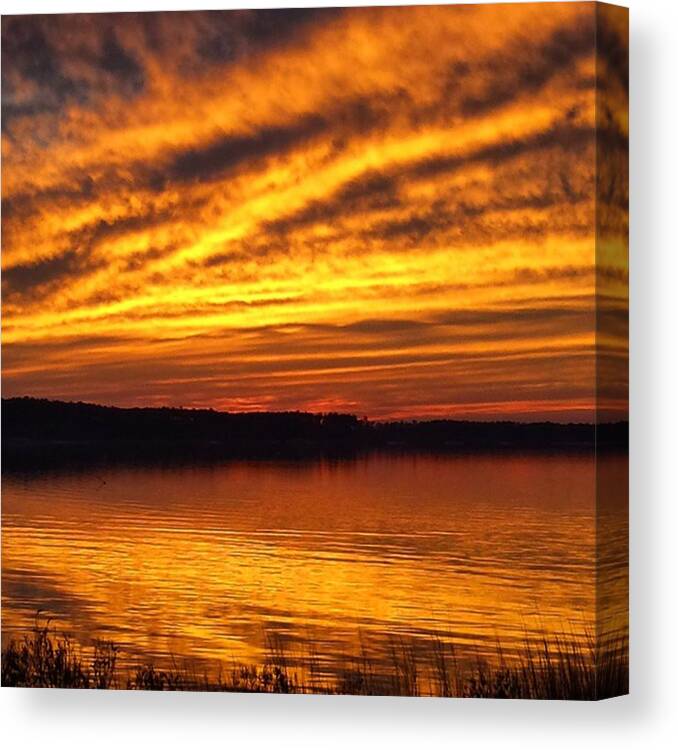 Orange Canvas Print featuring the photograph Spectacular by Ashley Milburn