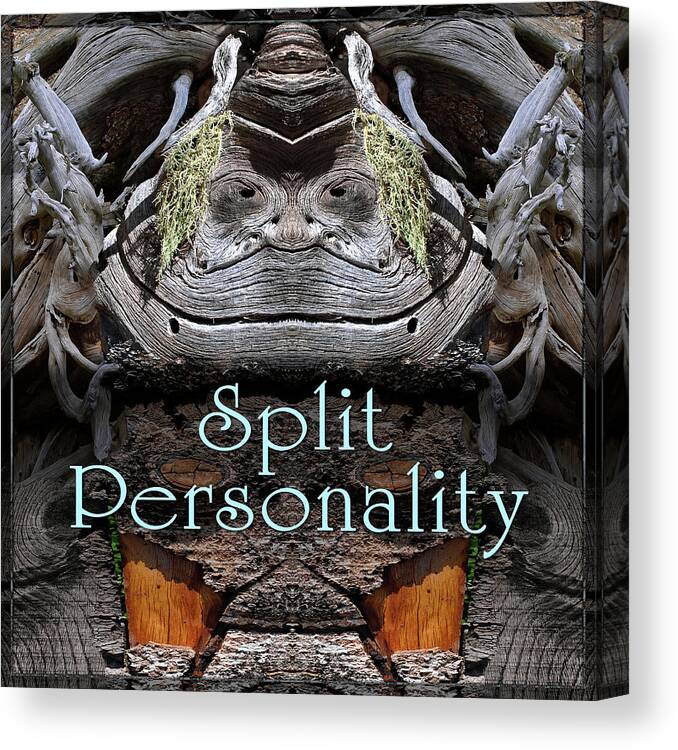 Sign Canvas Print featuring the digital art Split Personality by Becky Titus