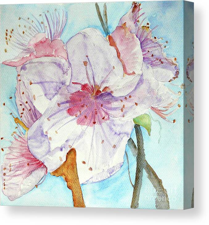 Spring Flower Canvas Print featuring the painting Spring by Jasna Dragun