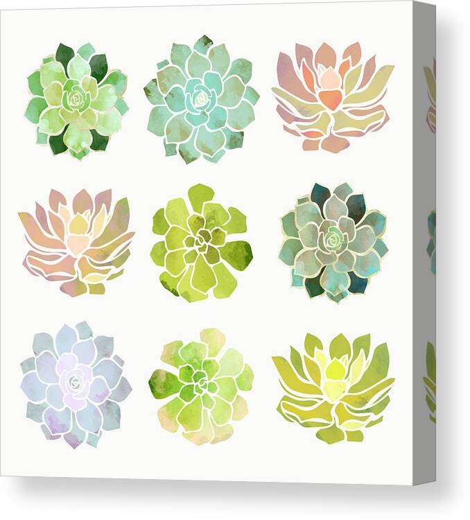 Spring Canvas Print featuring the digital art Spring Succulents by Spacefrog Designs