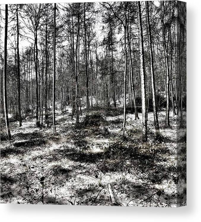 Stlawrenceswood Canvas Print featuring the photograph St Lawrence's Wood, Hartshill Hayes by John Edwards