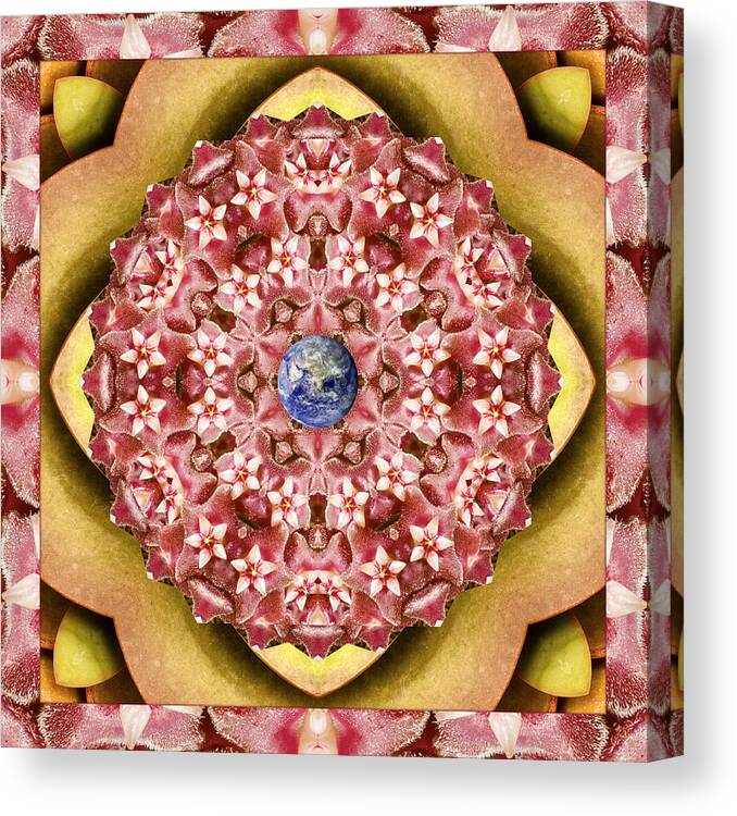 Mandalas Canvas Print featuring the photograph Stelliform by Bell And Todd