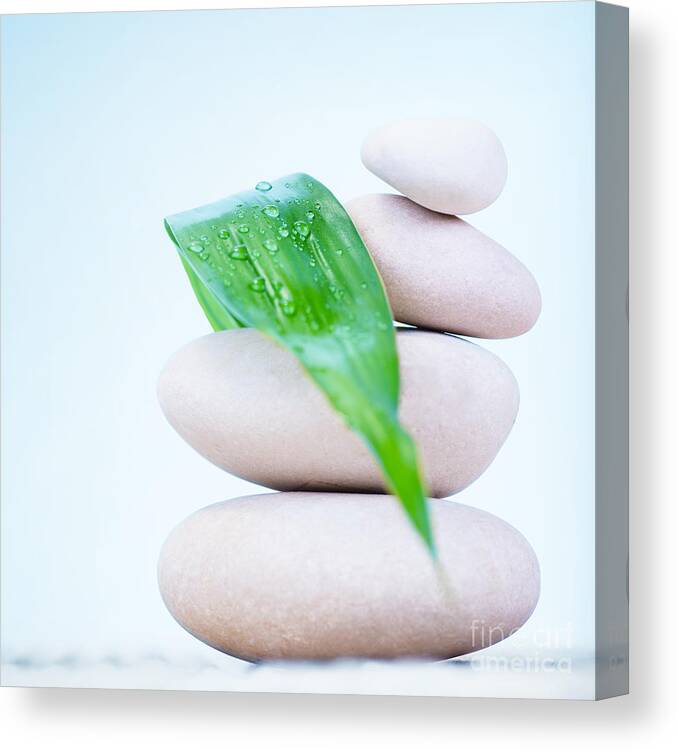 Abstract Canvas Print featuring the photograph Still life of spa stones by Anna Om