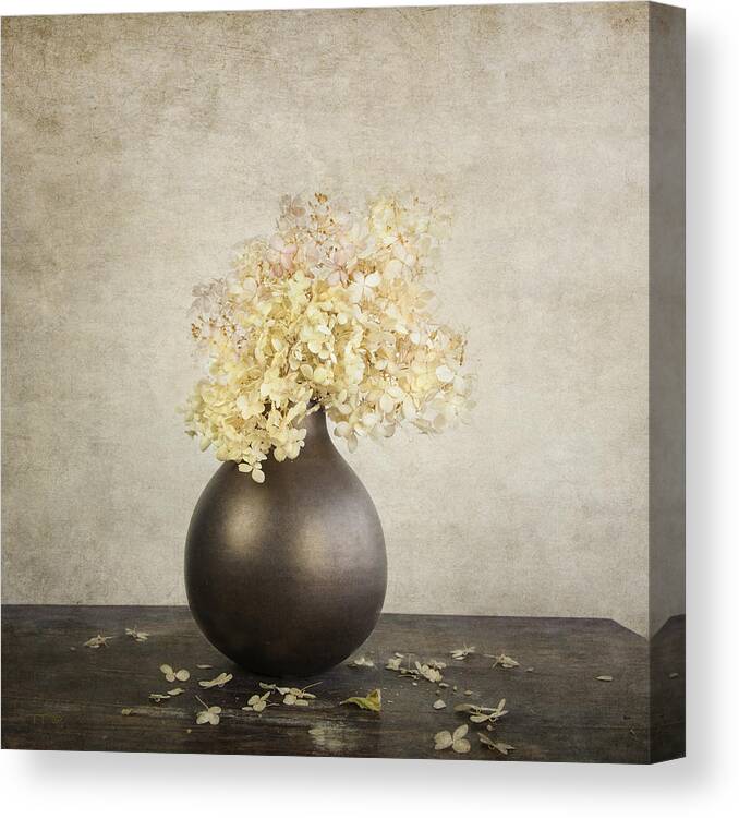 Classic Still Life Canvas Print featuring the photograph Still Life With Hydrangea by Theresa Tahara