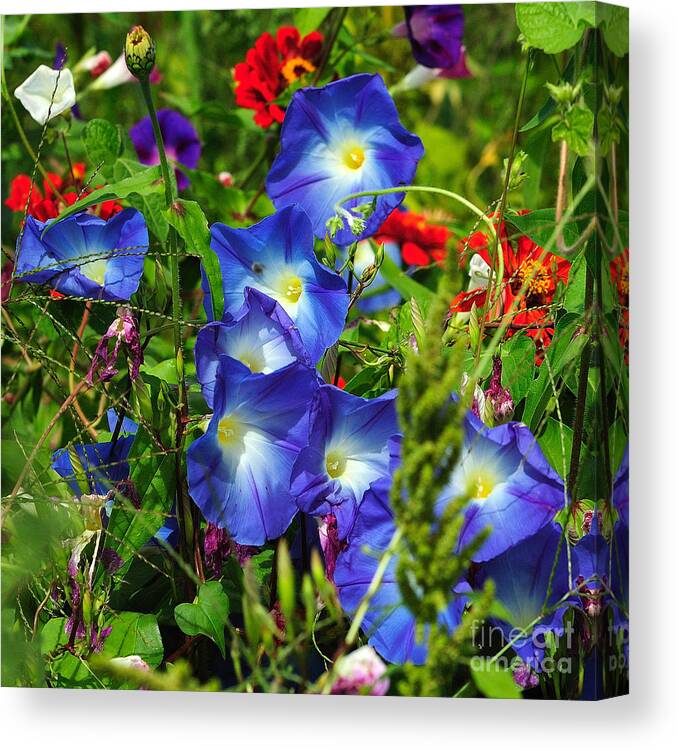 Flowers Canvas Print featuring the photograph Summer Bouquet by Edward Sobuta