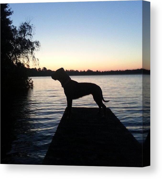 Canvas Print featuring the photograph Sunrise On The Lake ♡ by Tara White
