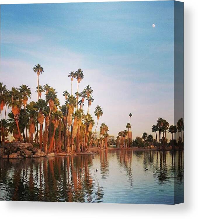 Sunset Canvas Print featuring the photograph #sunset Glow Over The Palm Trees And by Sarah Marie