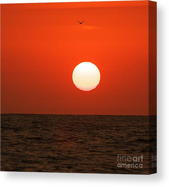 Orange Canvas Print featuring the photograph Sunset by Nicola Fiscarelli