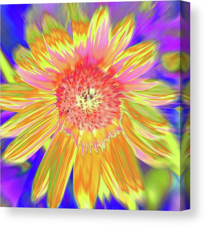 Sunflowers Canvas Print featuring the photograph Sunsweet by Cris Fulton