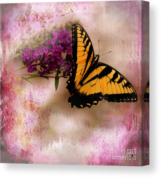 Eastern Tiger Swallowtail Canvas Print featuring the photograph Swallow Tail full of Beauty by Sandra Clark