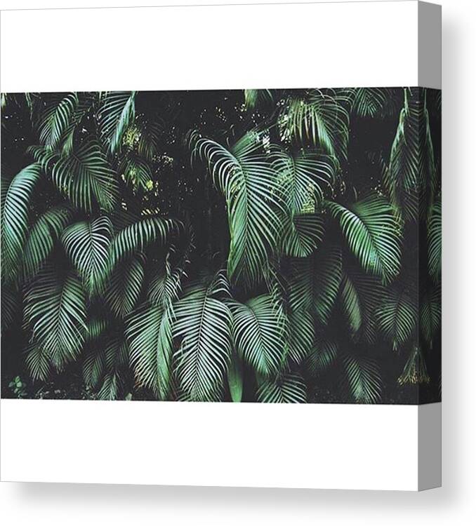 Wanderlust Canvas Print featuring the photograph Take Everything With A Grain Of Salt My by Takatada Mendoza Kinjo