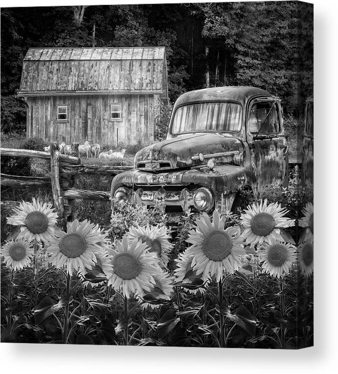 1940s Canvas Print featuring the photograph Take us for a Ride in the Sunflower Patch Black and White by Debra and Dave Vanderlaan