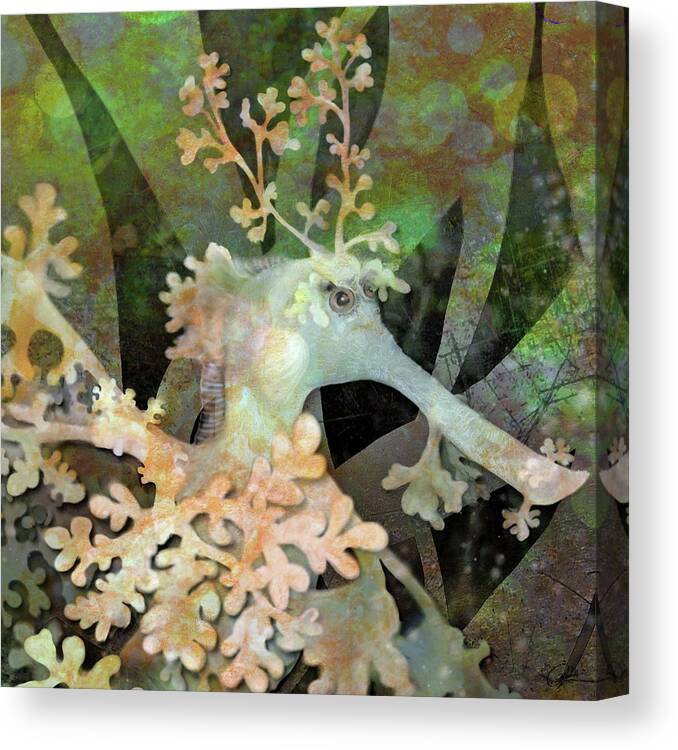 Seadragon Canvas Print featuring the digital art Teal Leafy Sea Dragon by Sand And Chi