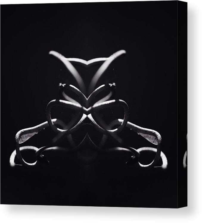 Rcspics Canvas Print featuring the photograph Tendrils by Dave Edens
