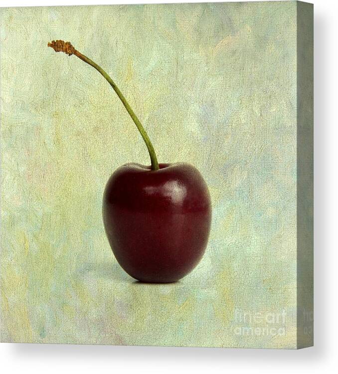 Cherries Canvas Print featuring the photograph Textured cherry. by Bernard Jaubert