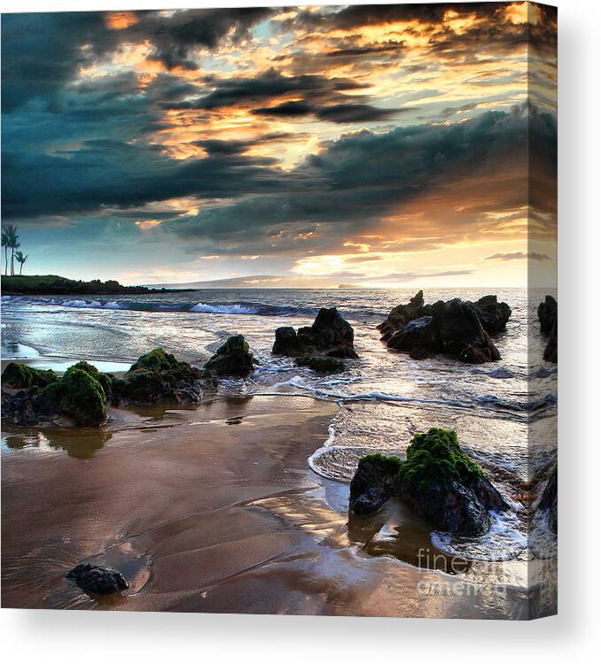 Aloha Canvas Print featuring the photograph The Absolute by Sharon Mau