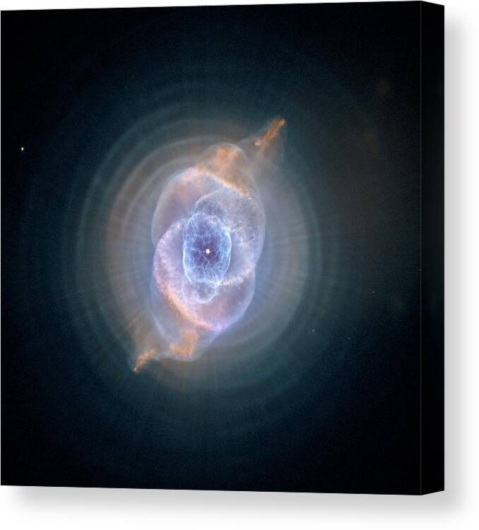 Cats Canvas Print featuring the painting The Cat's Eye Nebula by Hubble Space Telescope