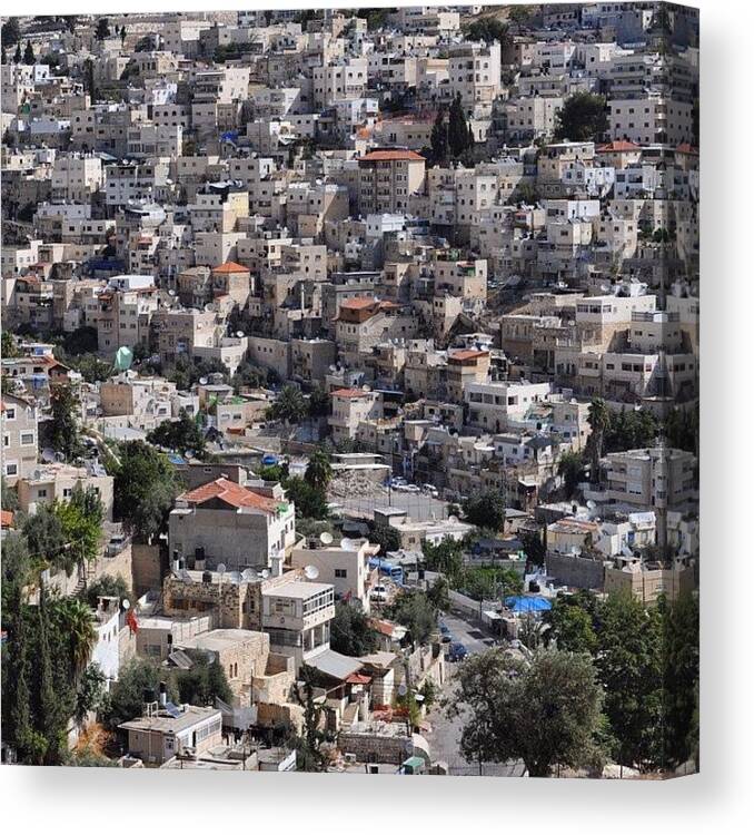 Israel Canvas Print featuring the photograph The Crowded Village Of Silwan, Clinging by Glen Thomson