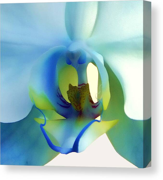 Blue Orchid Canvas Print featuring the photograph The Flower Within by Maggie McLaughlin