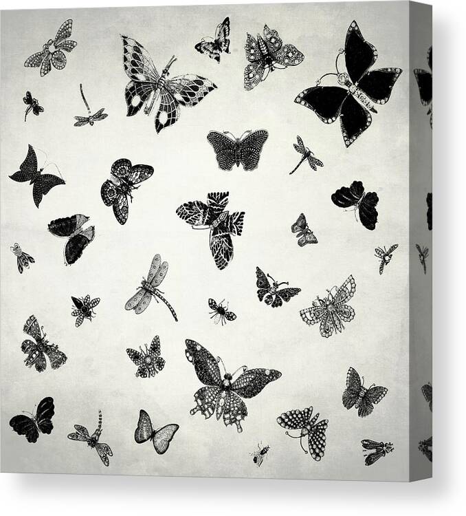 Butterfly Canvas Print featuring the photograph The Flutter And Fly by Mark Rogan
