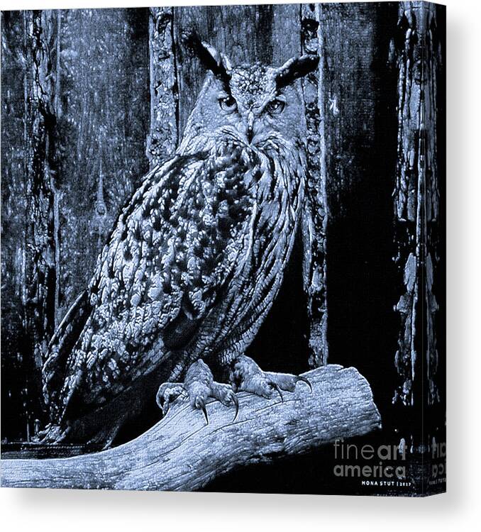Mona Stut Canvas Print featuring the mixed media Majestic Great Horned Owl Bubo Bubo BW by Mona Stut