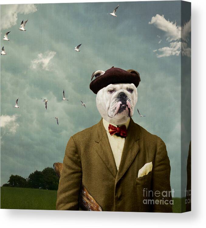 Dog Canvas Print featuring the photograph The Grumpy Man by Martine Roch