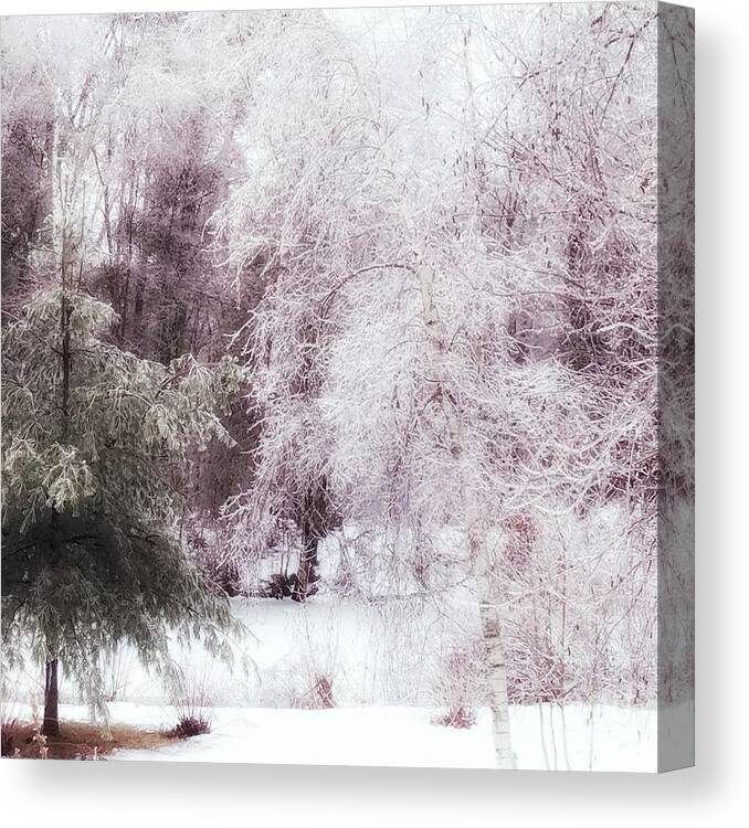 Ice Canvas Print featuring the photograph The Ice Storm by Mary Capriole