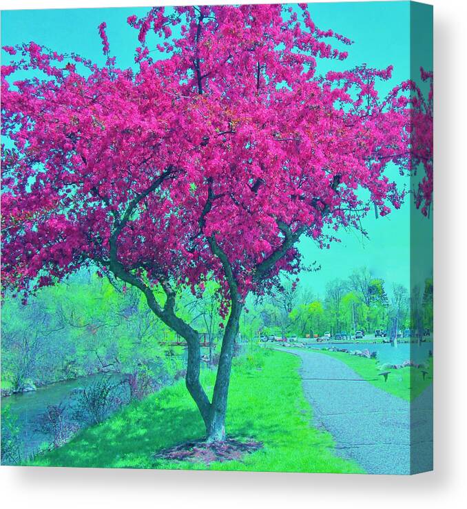 Flowering Tree Canvas Print featuring the photograph The Joy of Spring by Sharon Ackley