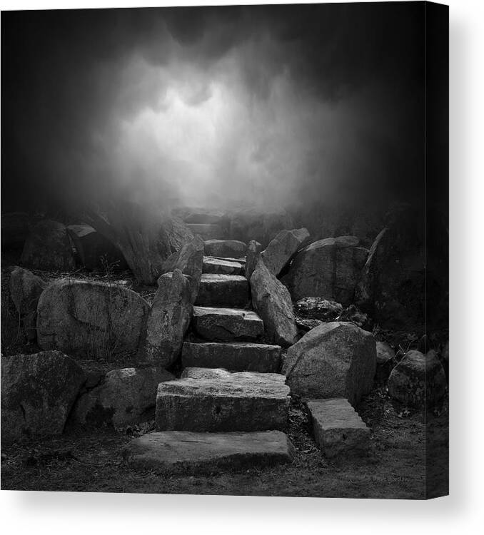 Stone Canvas Print featuring the photograph The Stone Steps I by David Gordon