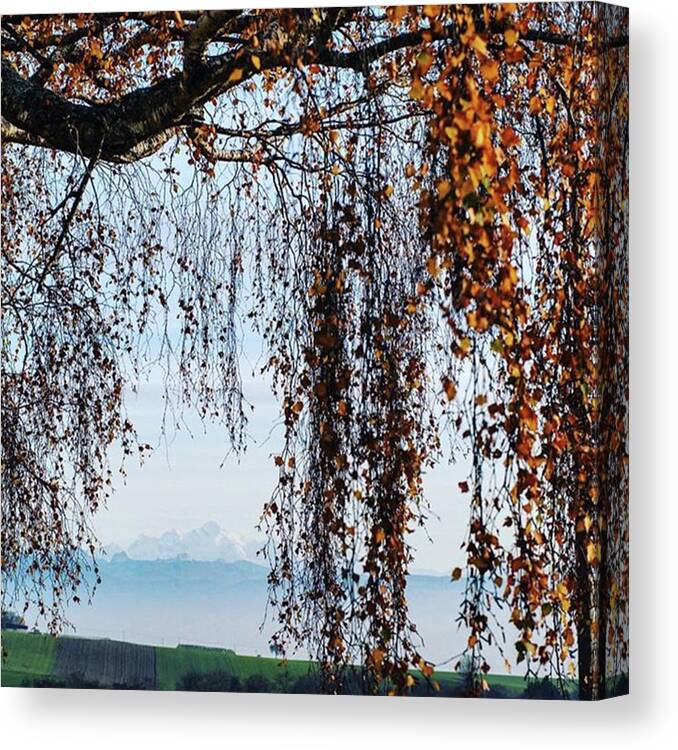  Canvas Print featuring the photograph The View by Aleck Cartwright