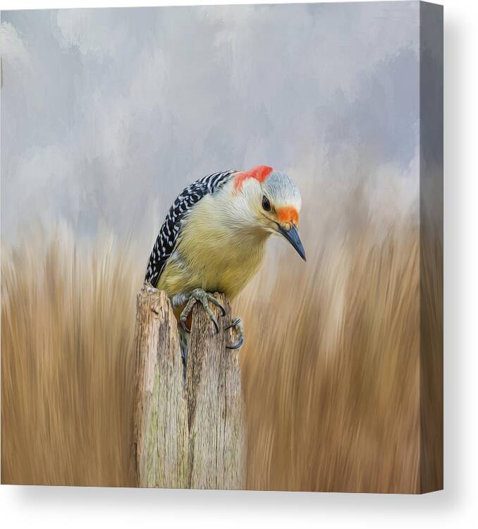 Woodpecker Canvas Print featuring the photograph The Woodpecker by Cathy Kovarik