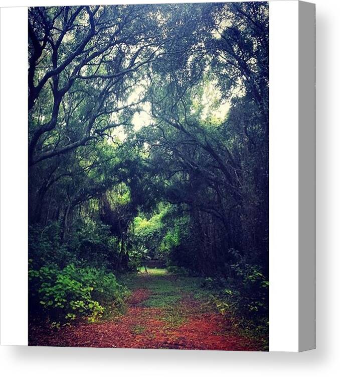 Beautiful Canvas Print featuring the photograph Mysterious Green Pathway by Janel Cortez