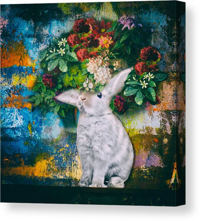 Rabbit Canvas Print featuring the photograph This Is Not Easy by James Bethanis