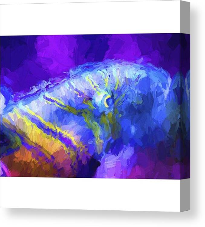 Photoshop Canvas Print featuring the photograph This Little Fishy Went To The Market by David Haskett II