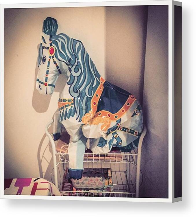  Canvas Print featuring the photograph This Was A Birthday Pony by Alexis Fleisig